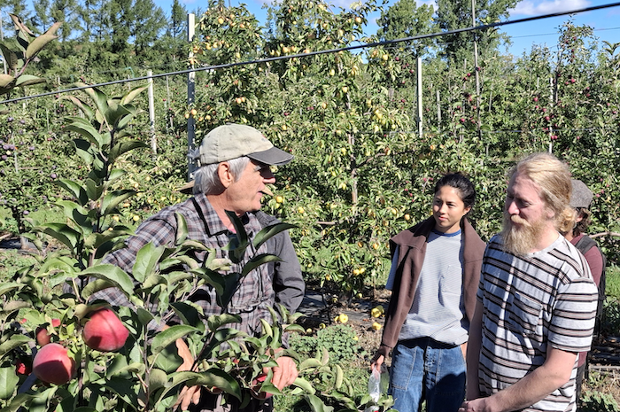 quebec region networks